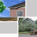 From Roots to Roofs: The Role Of Tree Services In Sustainable Housing Development In Hattiesburg