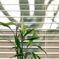 Colorado Springs Sun Solutions: How Window Blinds Contribute To Sustainable Housing