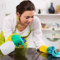 How To Maintain Sustainable Housing In Seattle, WA: The Role Of Professional House Cleaning Services