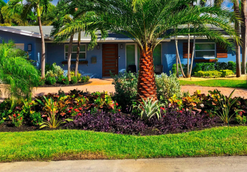 How Can A Professional Lawn Service Provider In Pembroke Pines, FL, Help Maintain The Lawn Of Your Sustainable Homes?